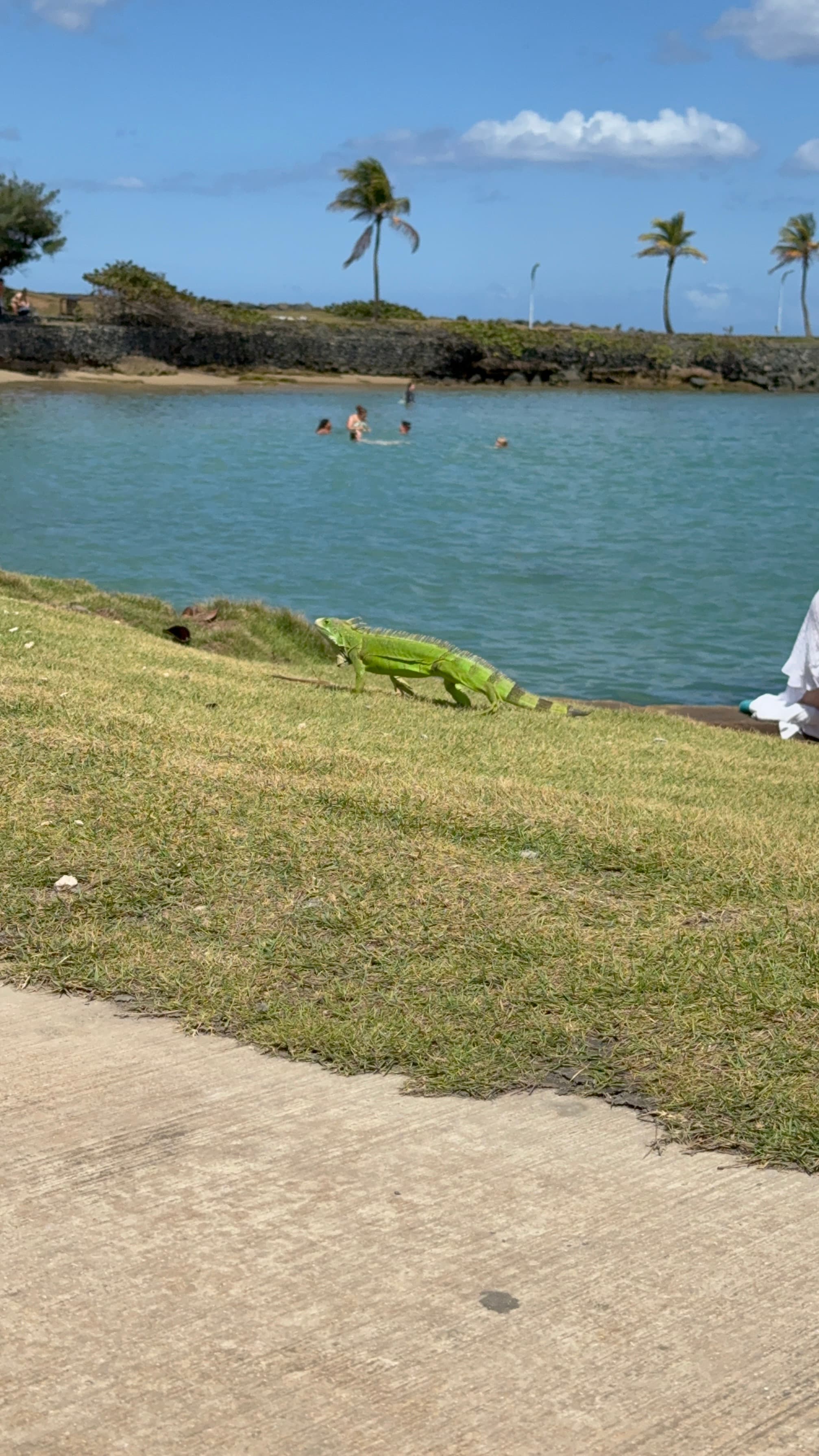 Puerto Rico Trip 🇵🇷 Mar. 20 0