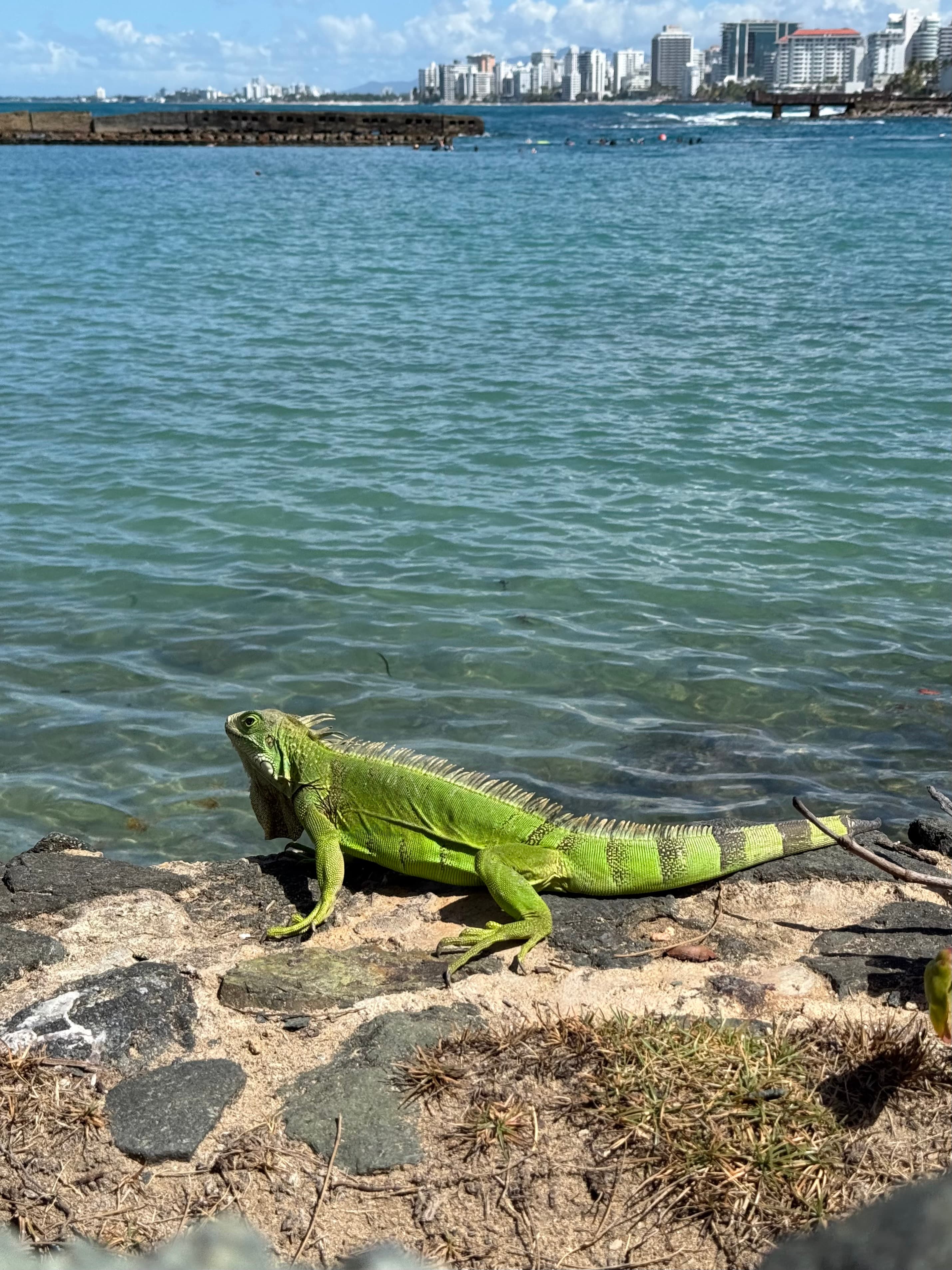 Puerto Rico Trip 🇵🇷 Mar. 20 2