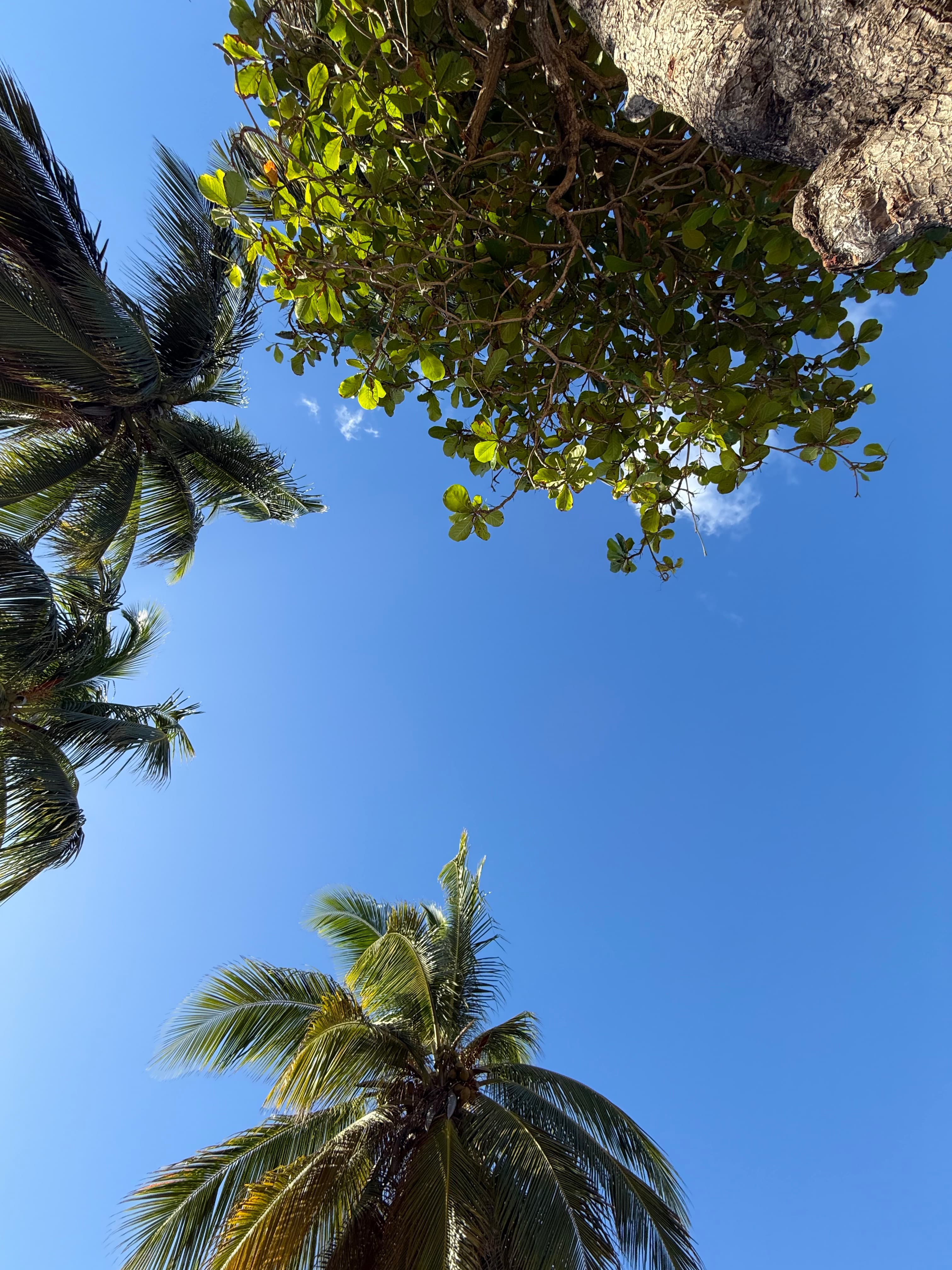 Puerto Rico Trip 🇵🇷 Mar. 20 5