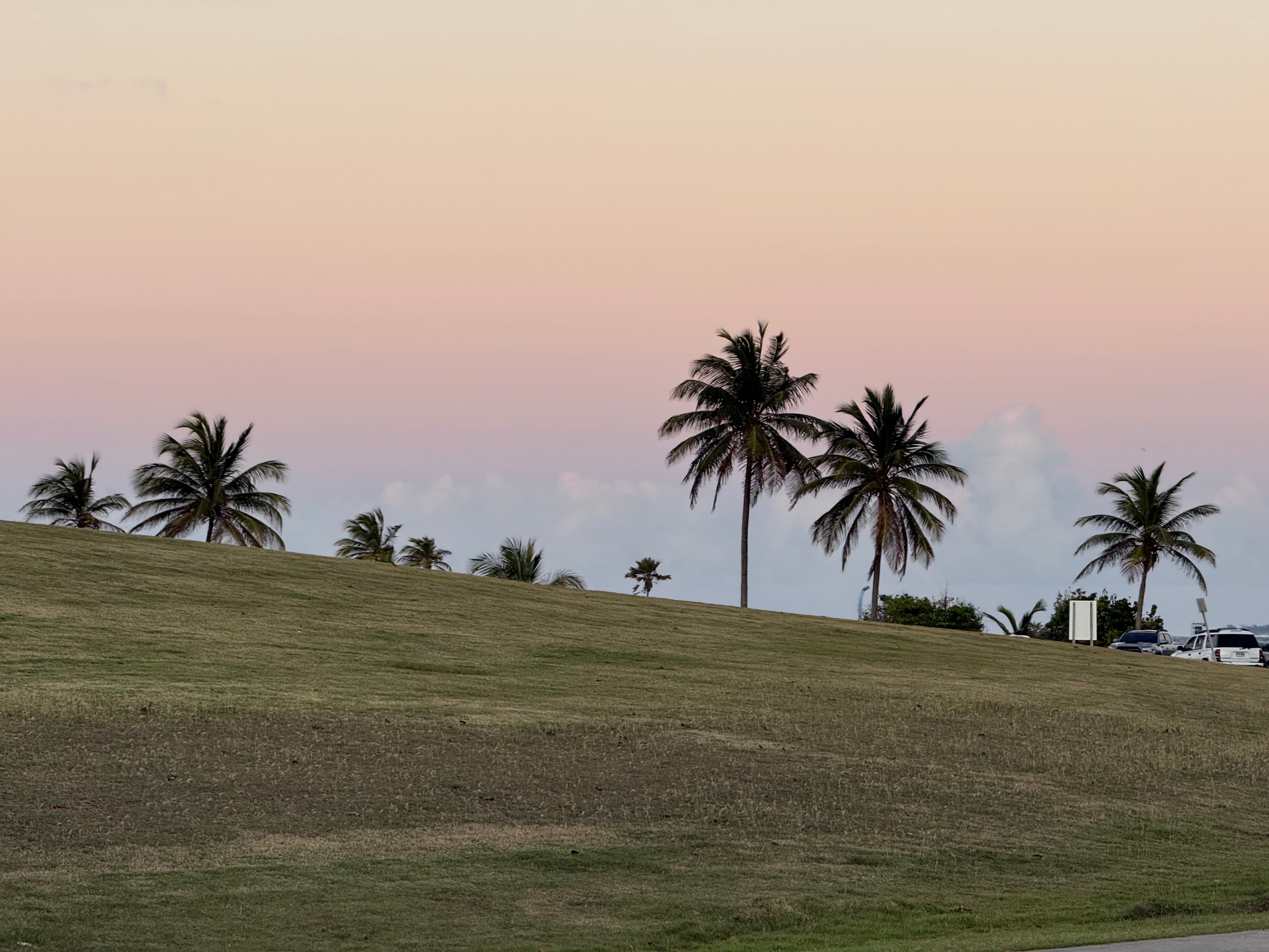 Puerto Rico Trip 🇵🇷 Mar. 20 8