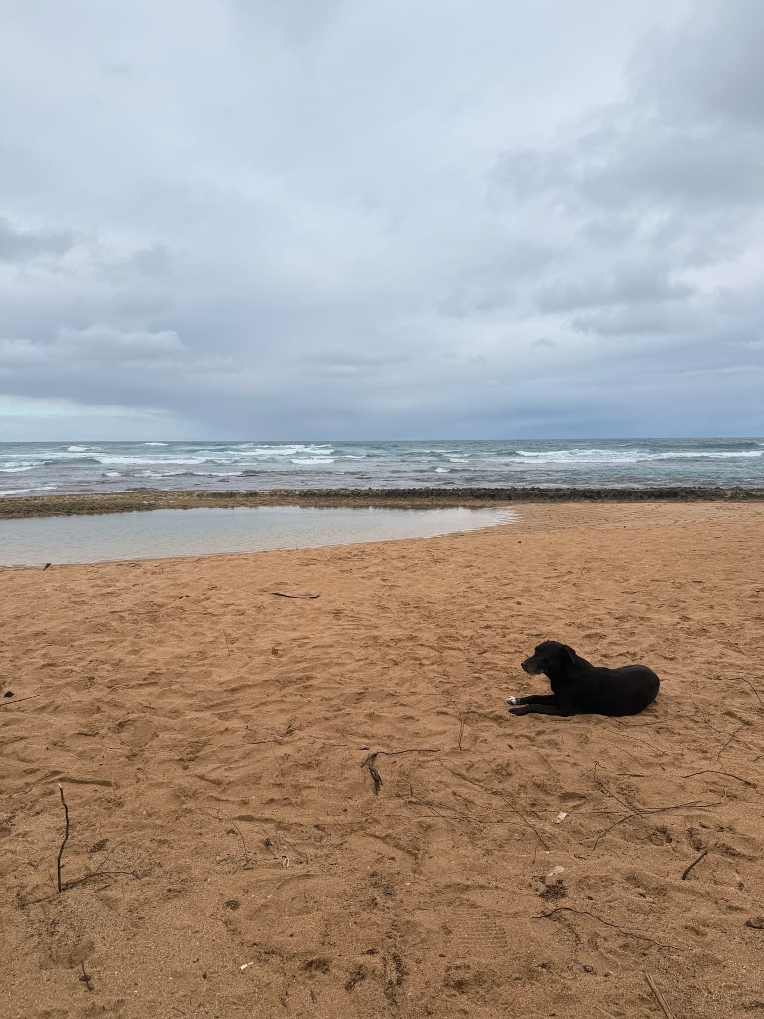 Puerto Rico Trip 🇵🇷 Mar. 22 2