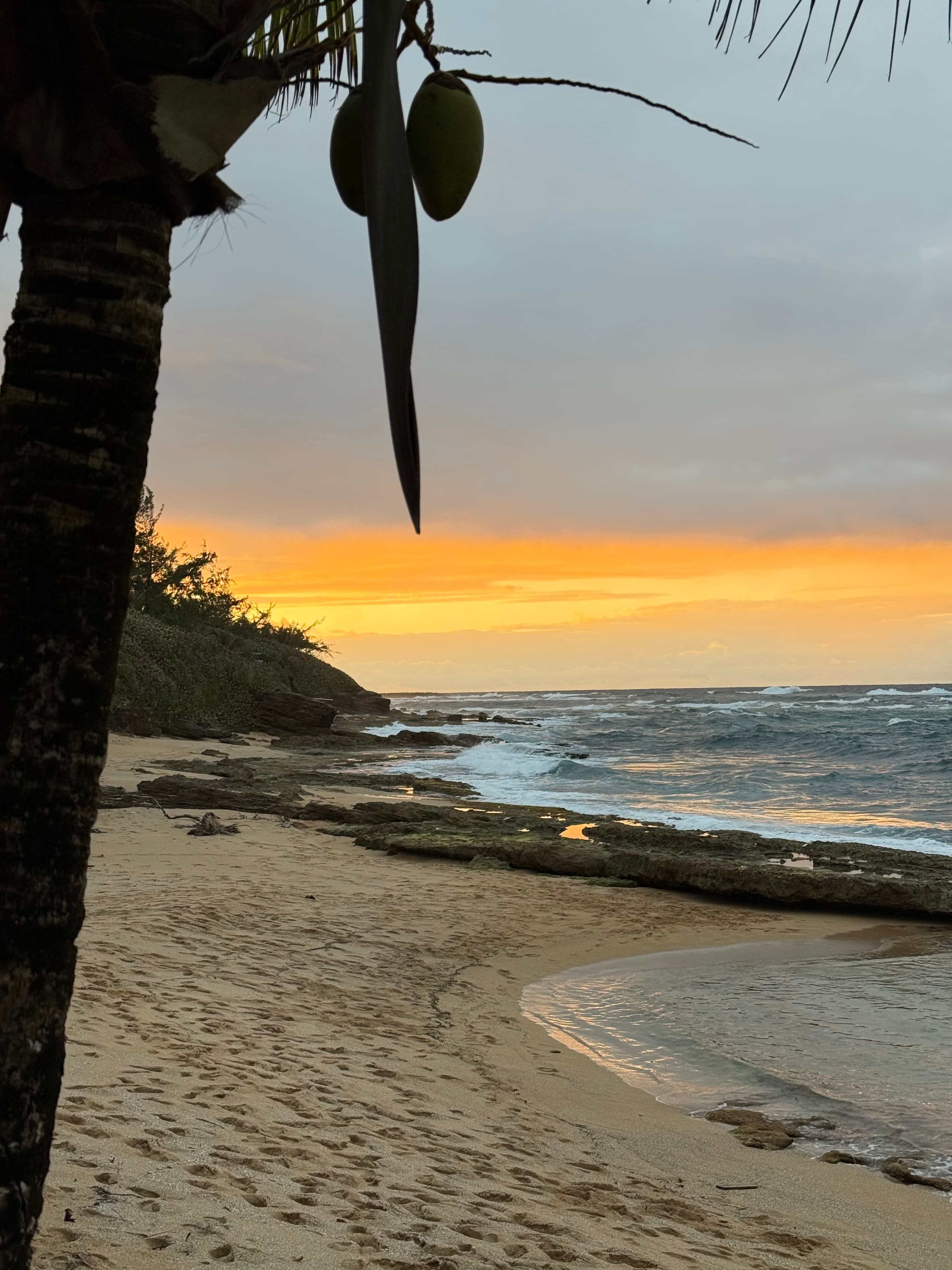 Puerto Rico Trip 🇵🇷 Mar. 22 4