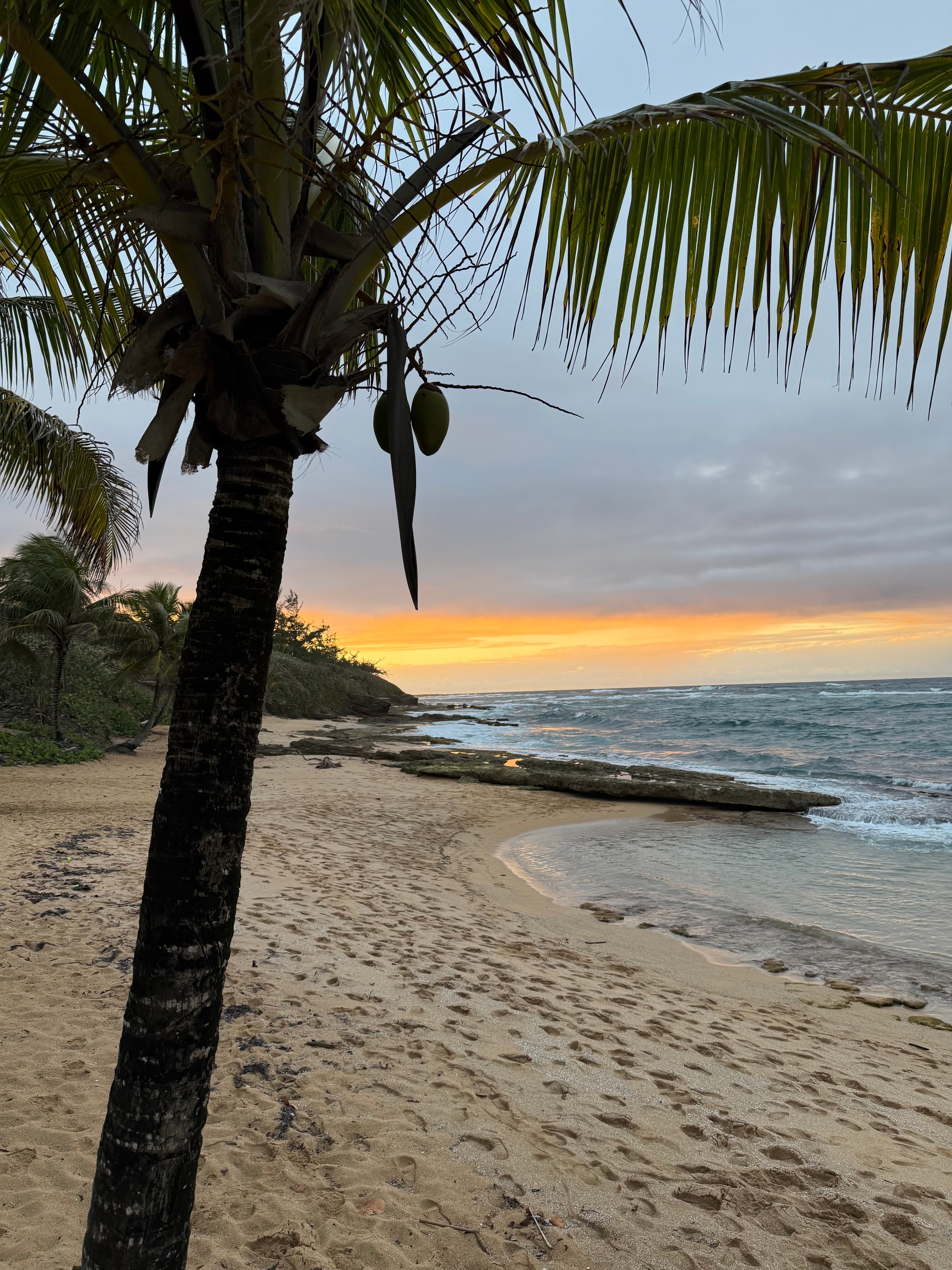 Puerto Rico Trip 🇵🇷 Mar. 22 4