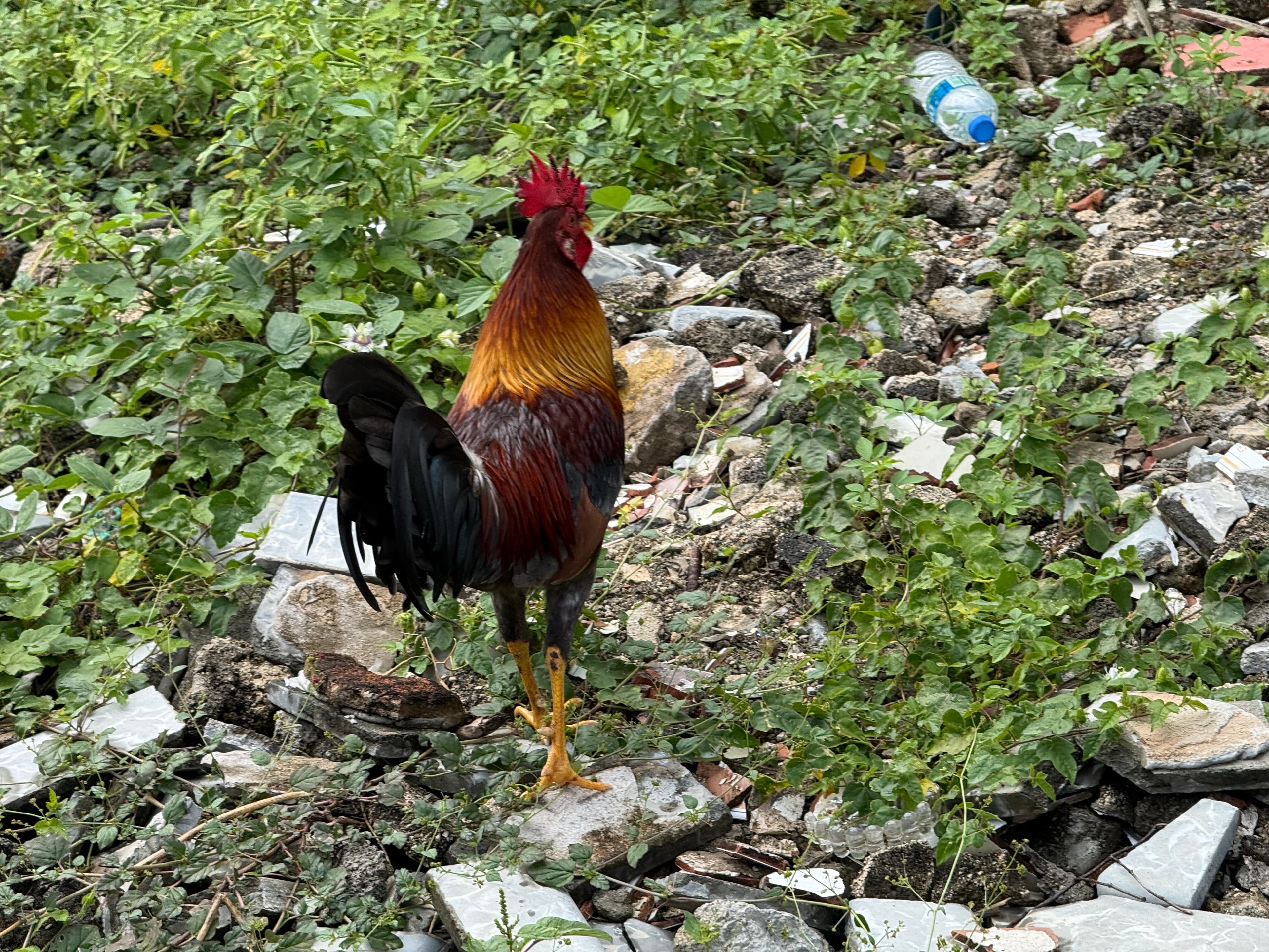 Puerto Rico Trip 🇵🇷 Mar. 23 1