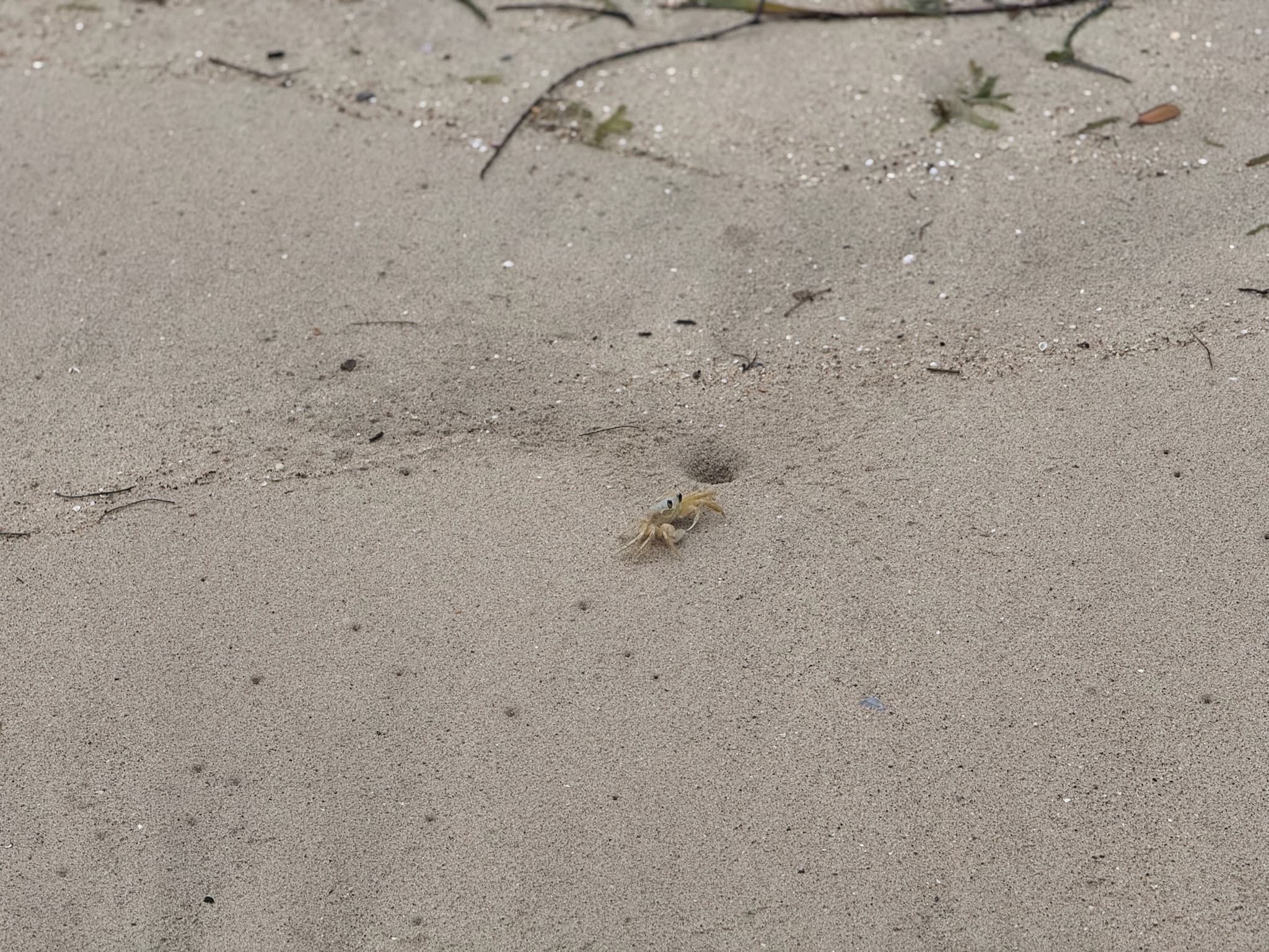 Puerto Rico Trip 🇵🇷 Mar. 23 7