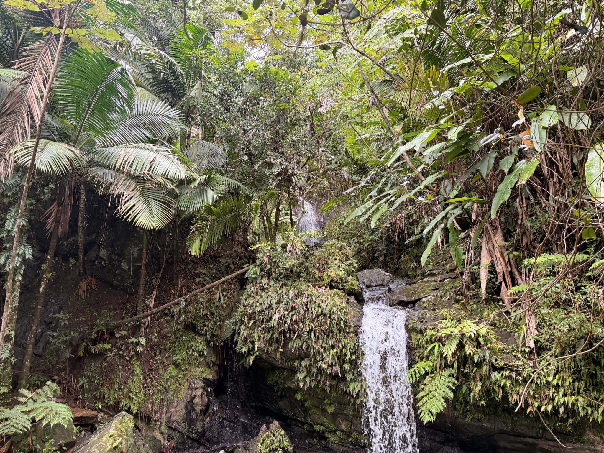 Puerto Rico Trip 🇵🇷 Mar. 24 2