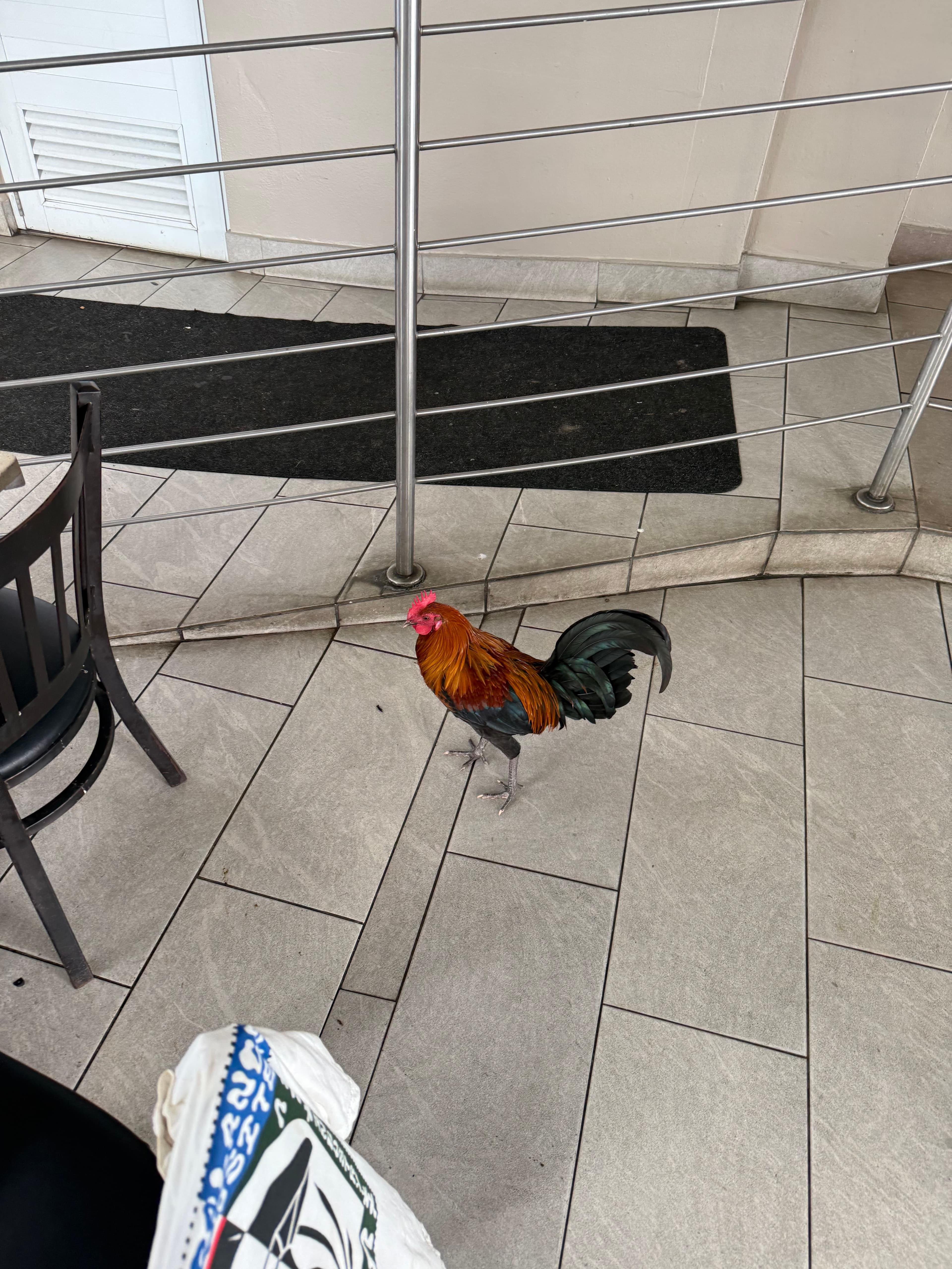 Puerto Rico Trip 🇵🇷 Mar. 24 12