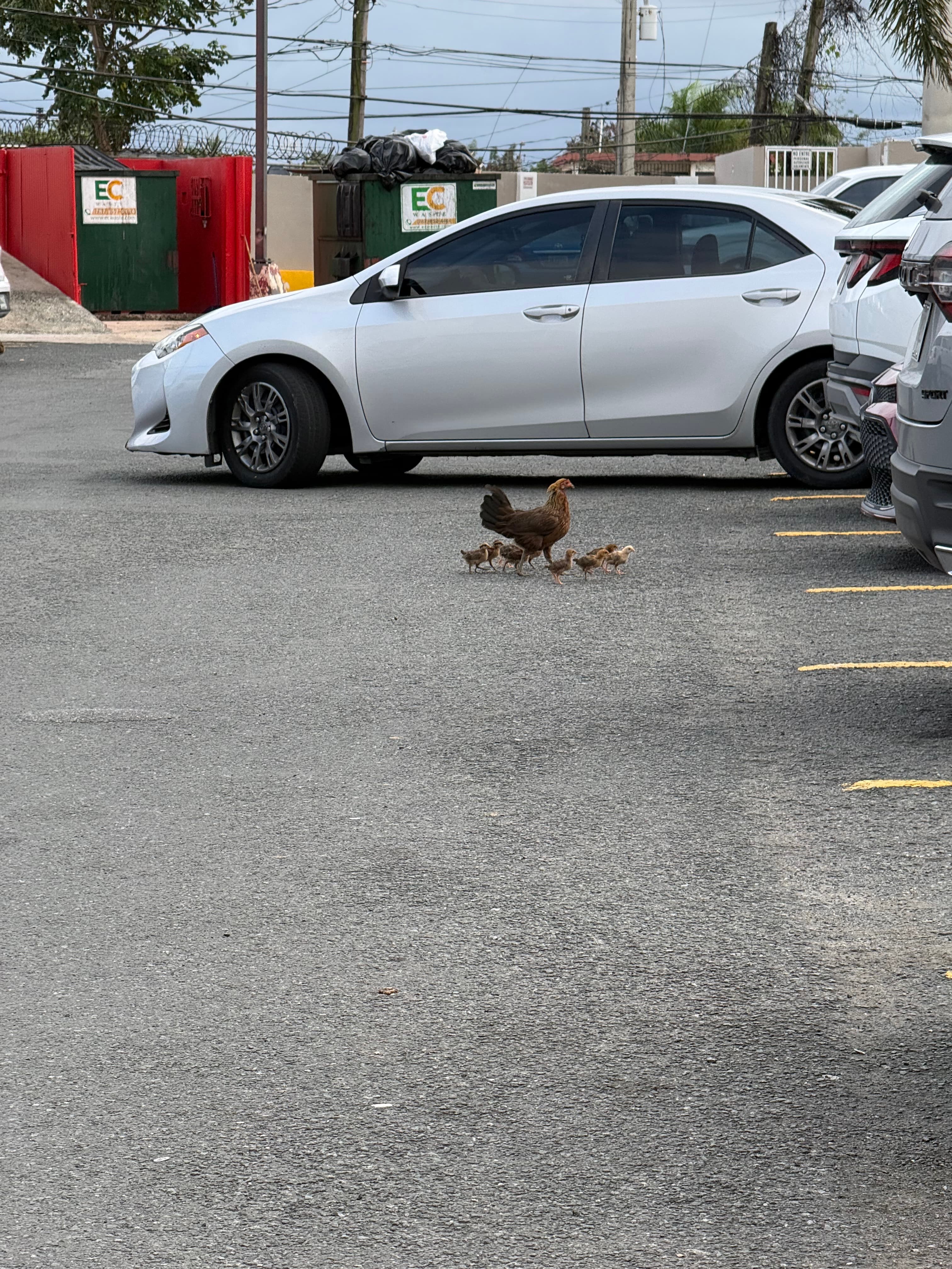 Puerto Rico Trip 🇵🇷 Mar. 24 13