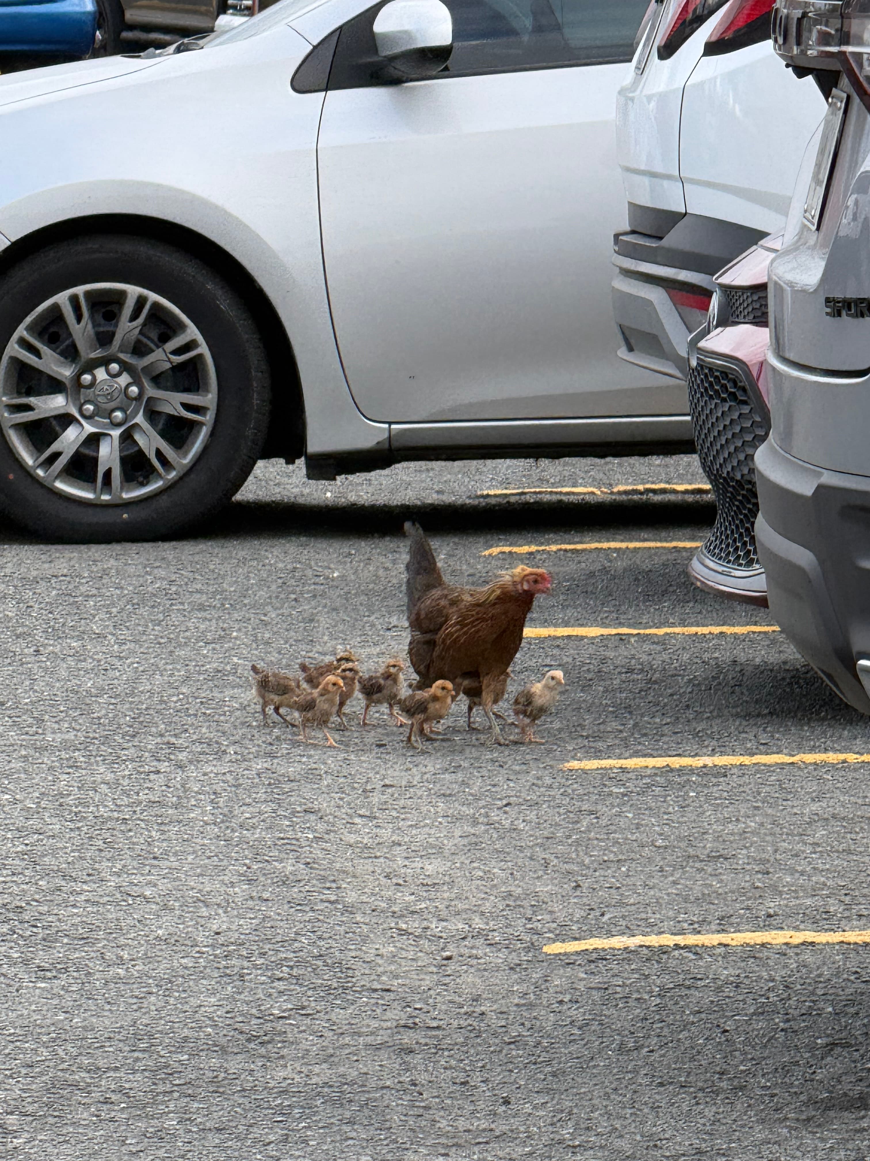 Puerto Rico Trip 🇵🇷 Mar. 24 14