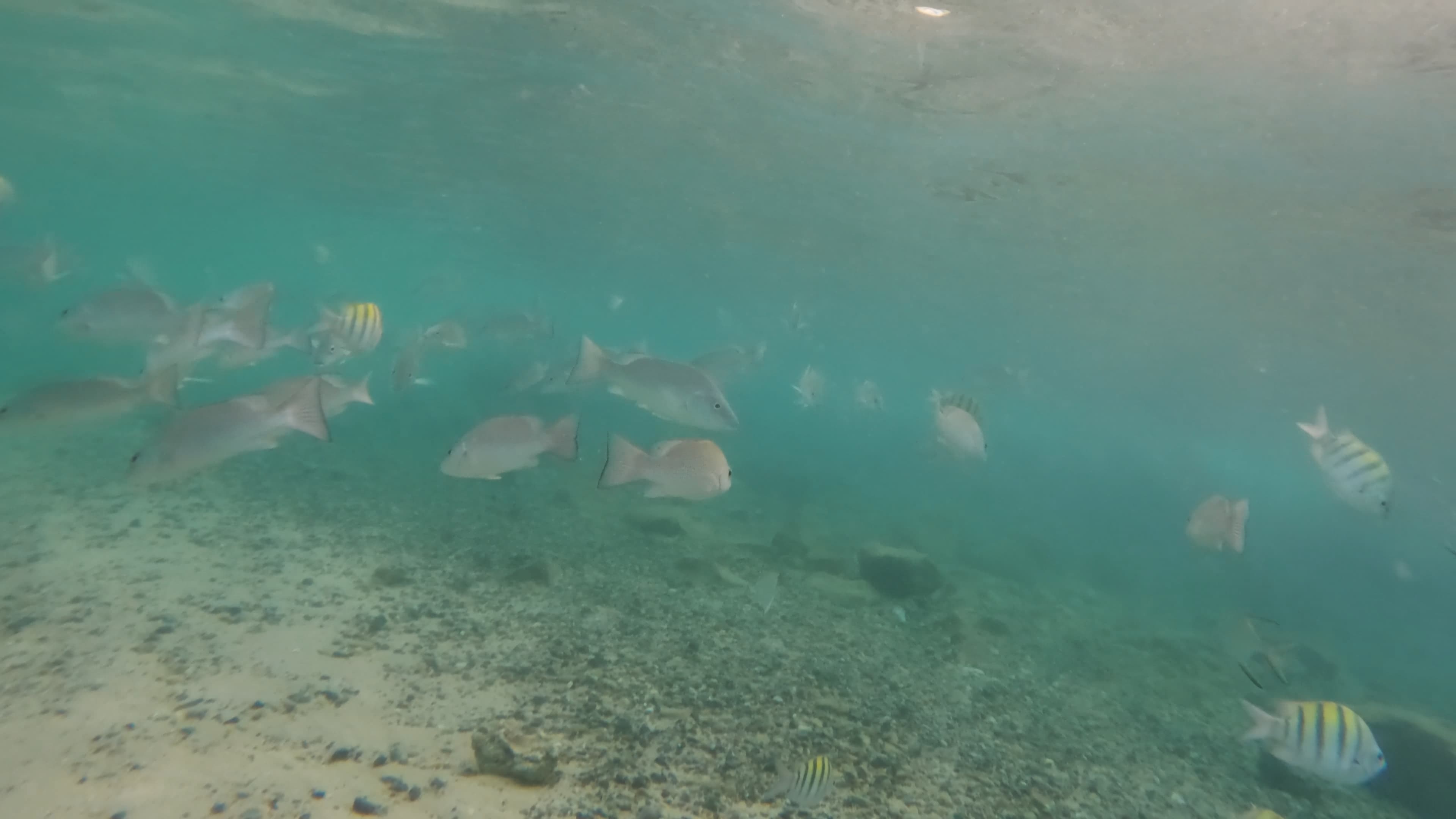 Puerto Rico Trip 🇵🇷 Mar. 25 2