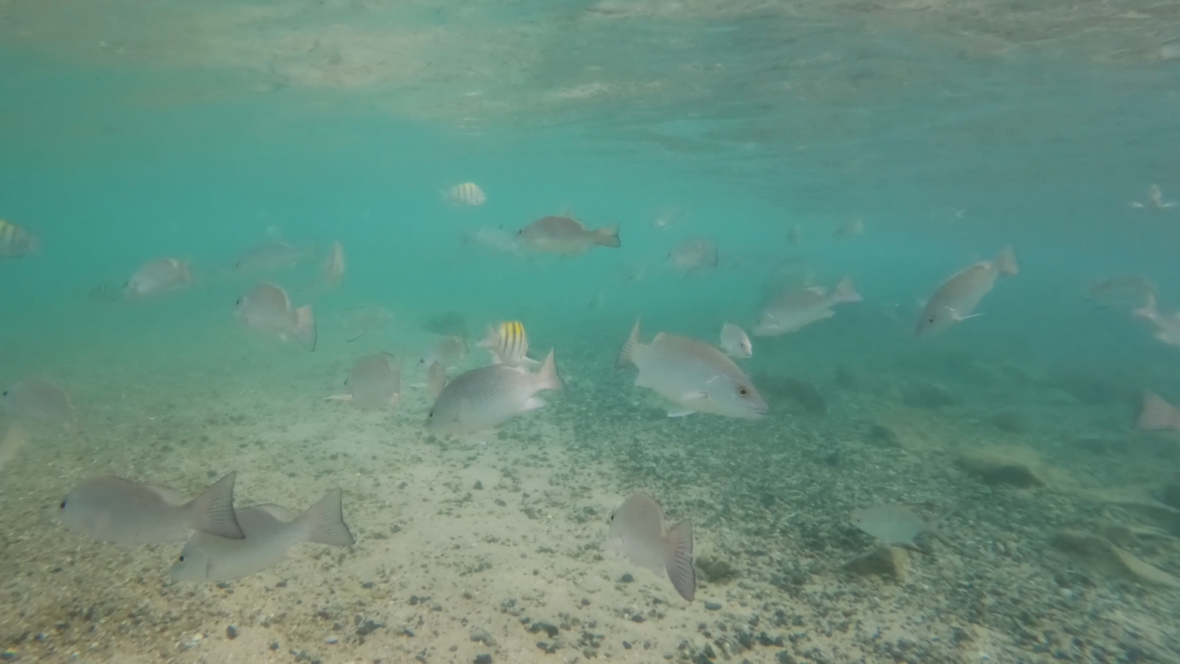 Puerto Rico Trip 🇵🇷 Mar. 25 2