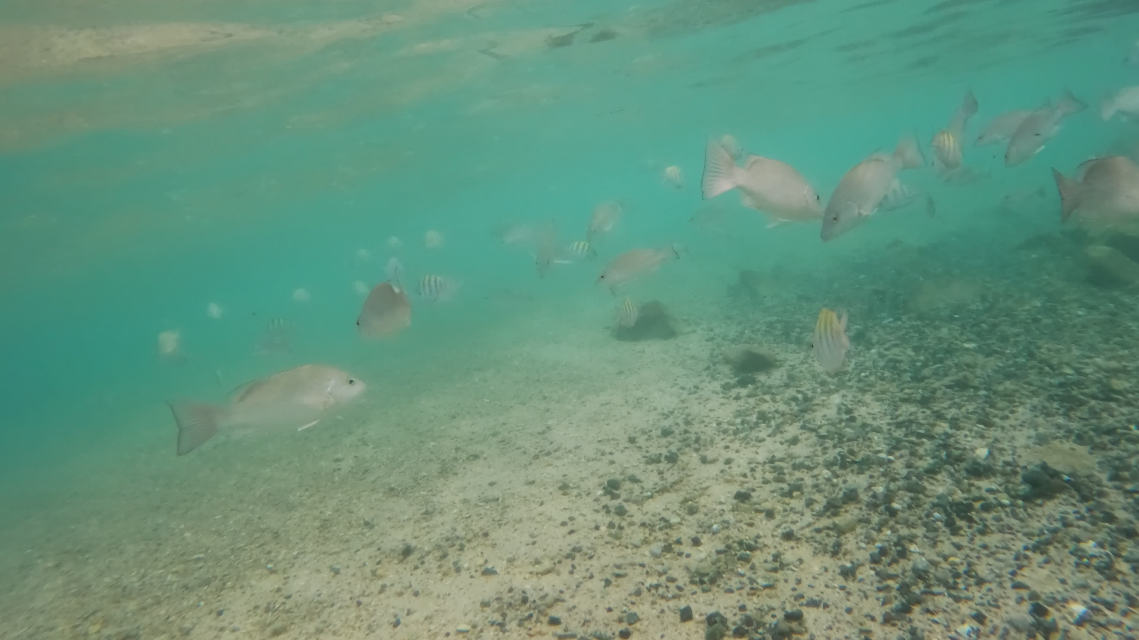 Puerto Rico Trip 🇵🇷 Mar. 25 2