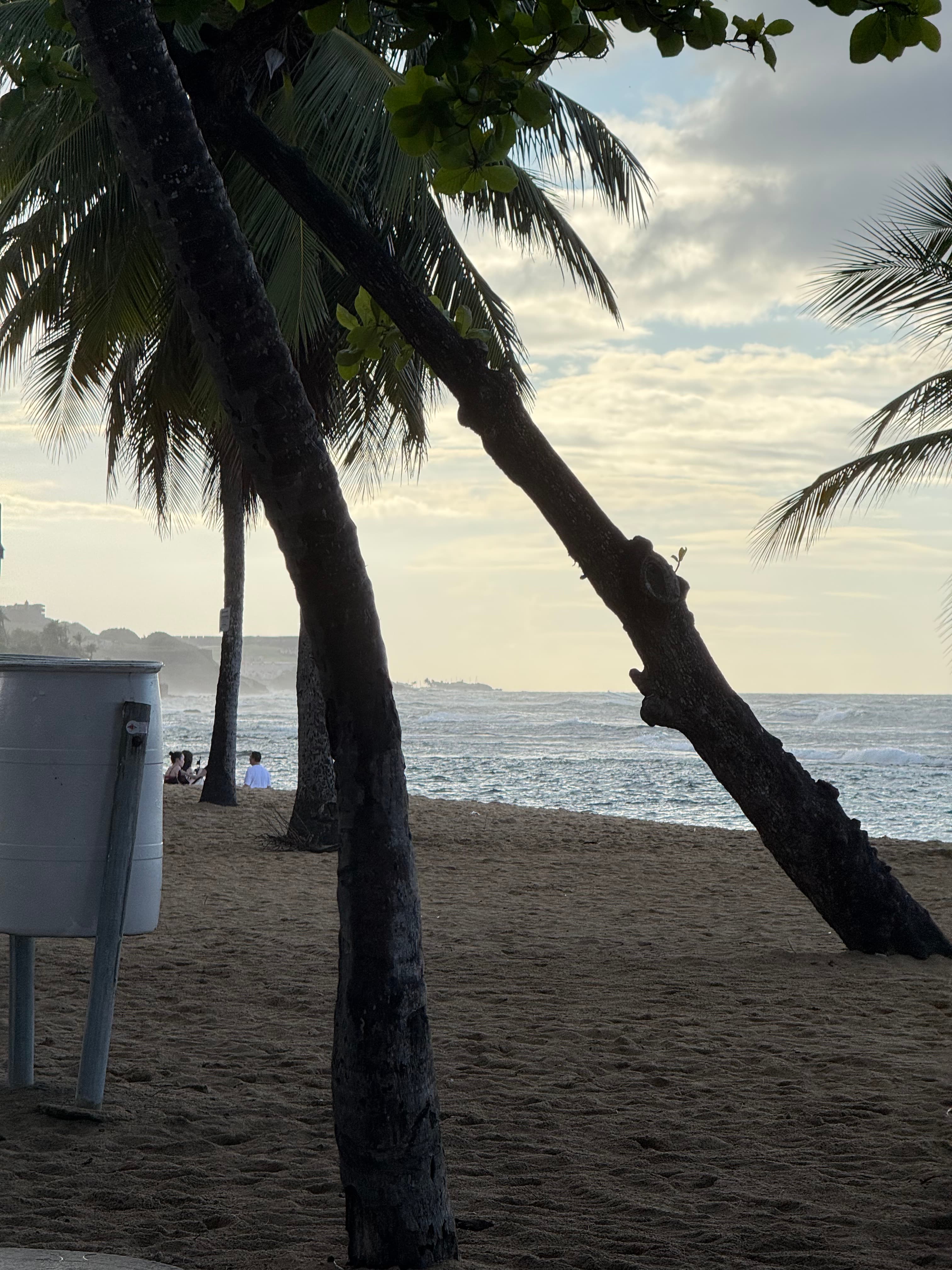 Puerto Rico Trip 🇵🇷 Mar. 25 4