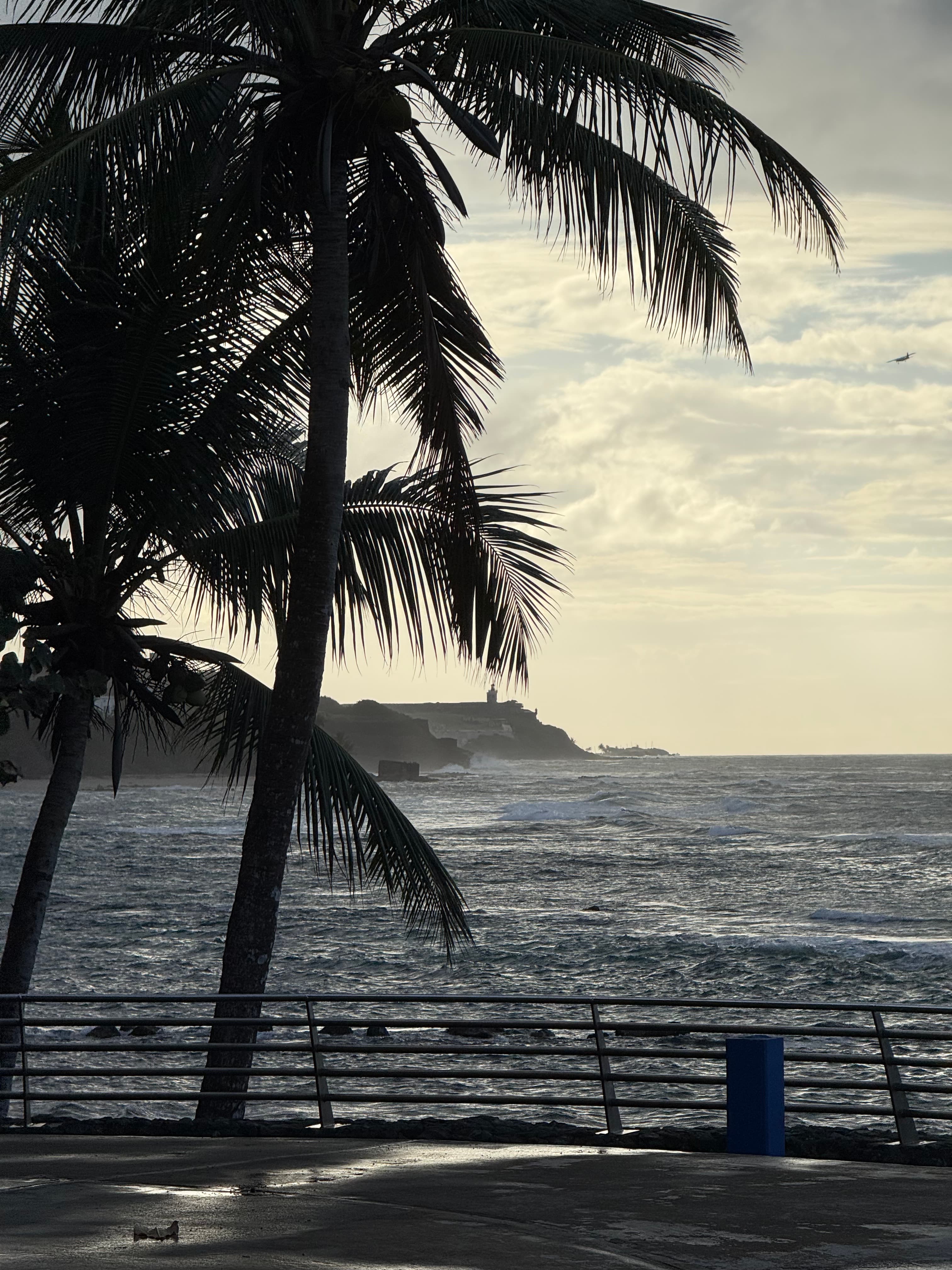 Puerto Rico Trip 🇵🇷 Mar. 25 4