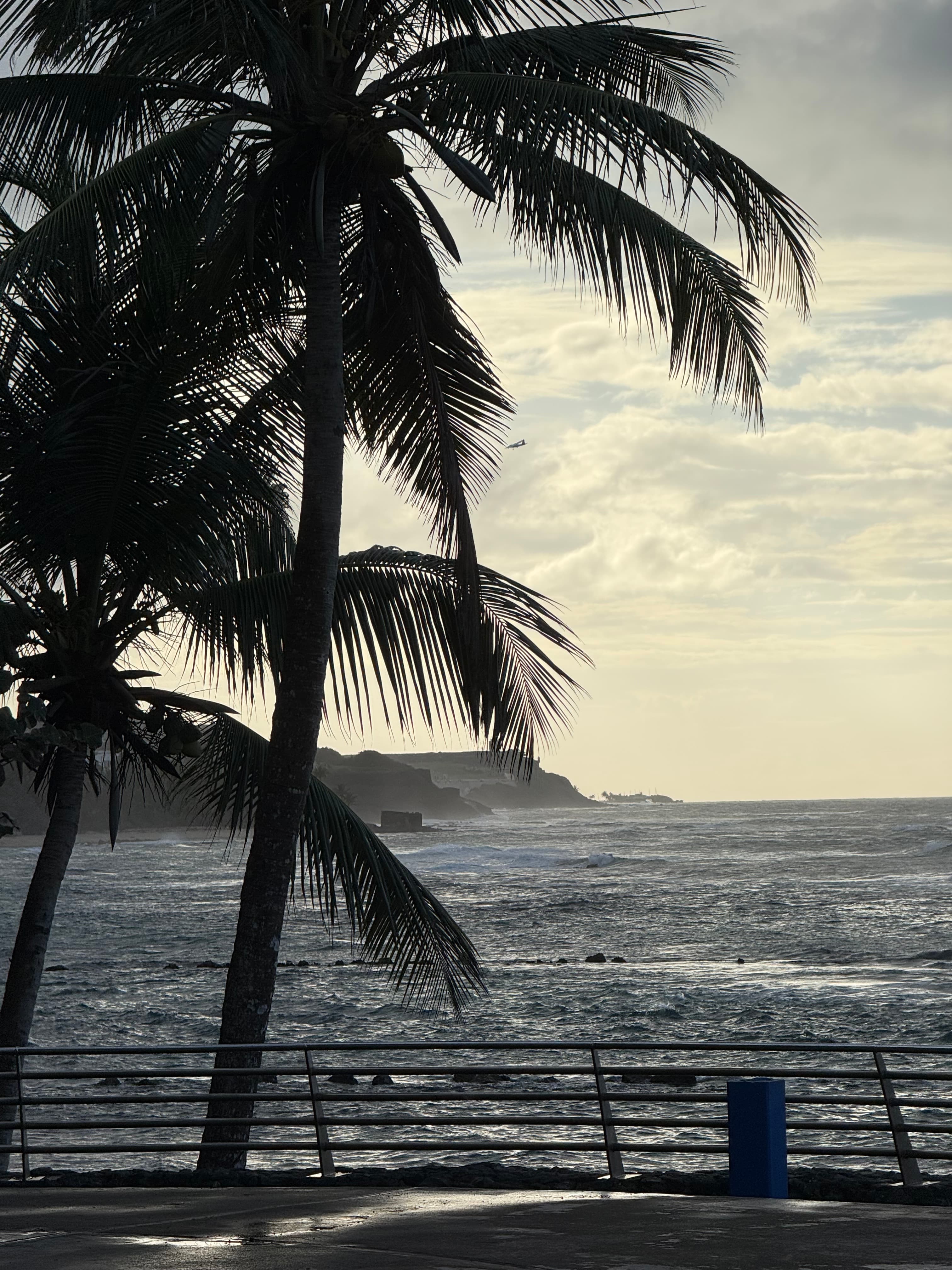 Puerto Rico Trip 🇵🇷 Mar. 25 5