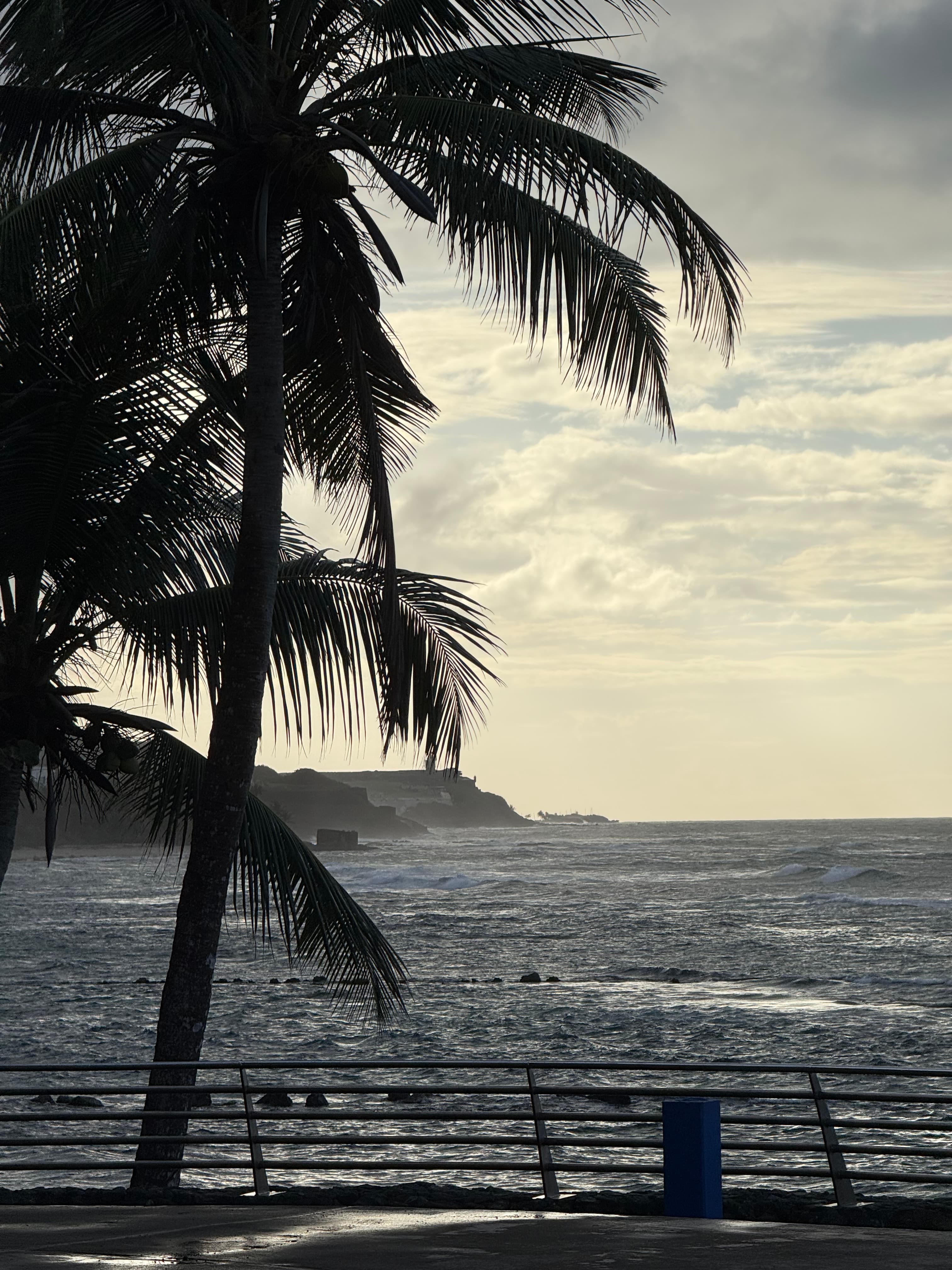 Puerto Rico Trip 🇵🇷 Mar. 25 5