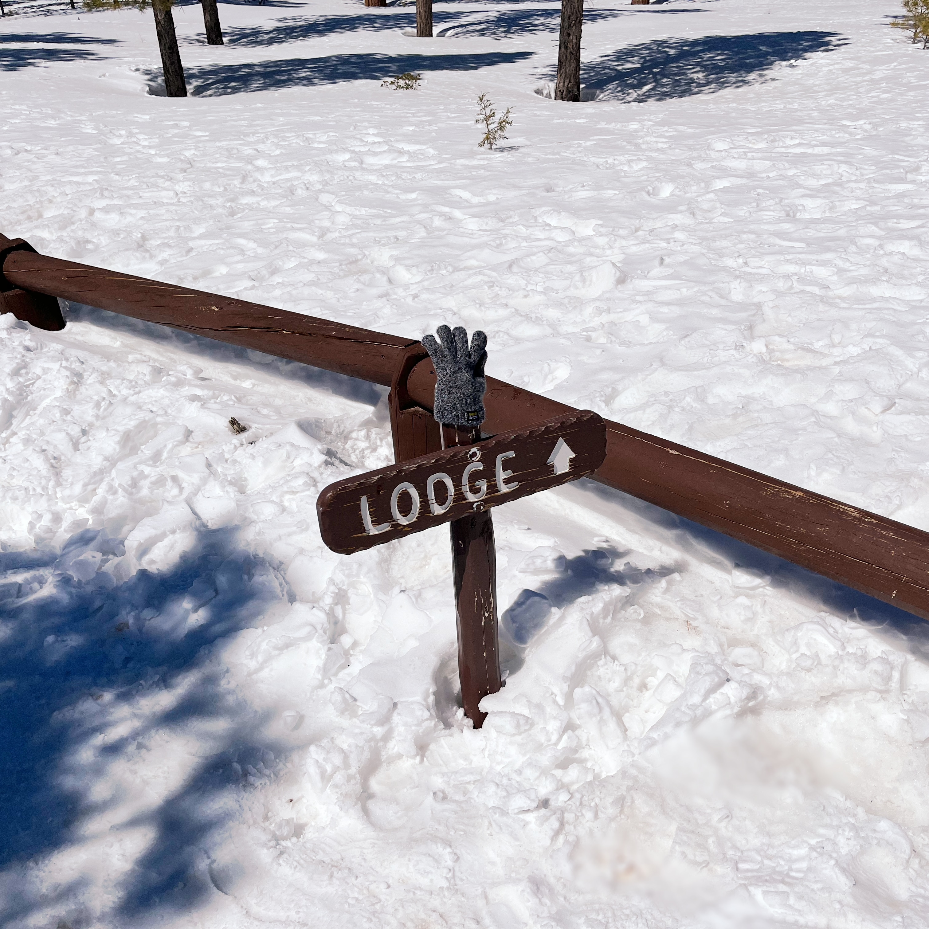 Submerged Under Snow