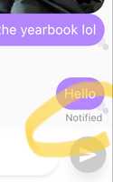 Notified sign under a chat message